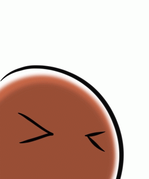 20080104a020.gif