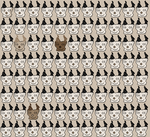 20080907_797c.png