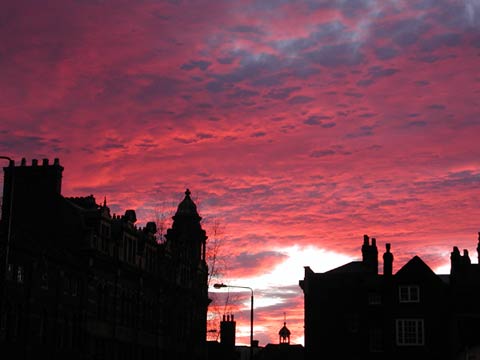20090214a81b.jpg